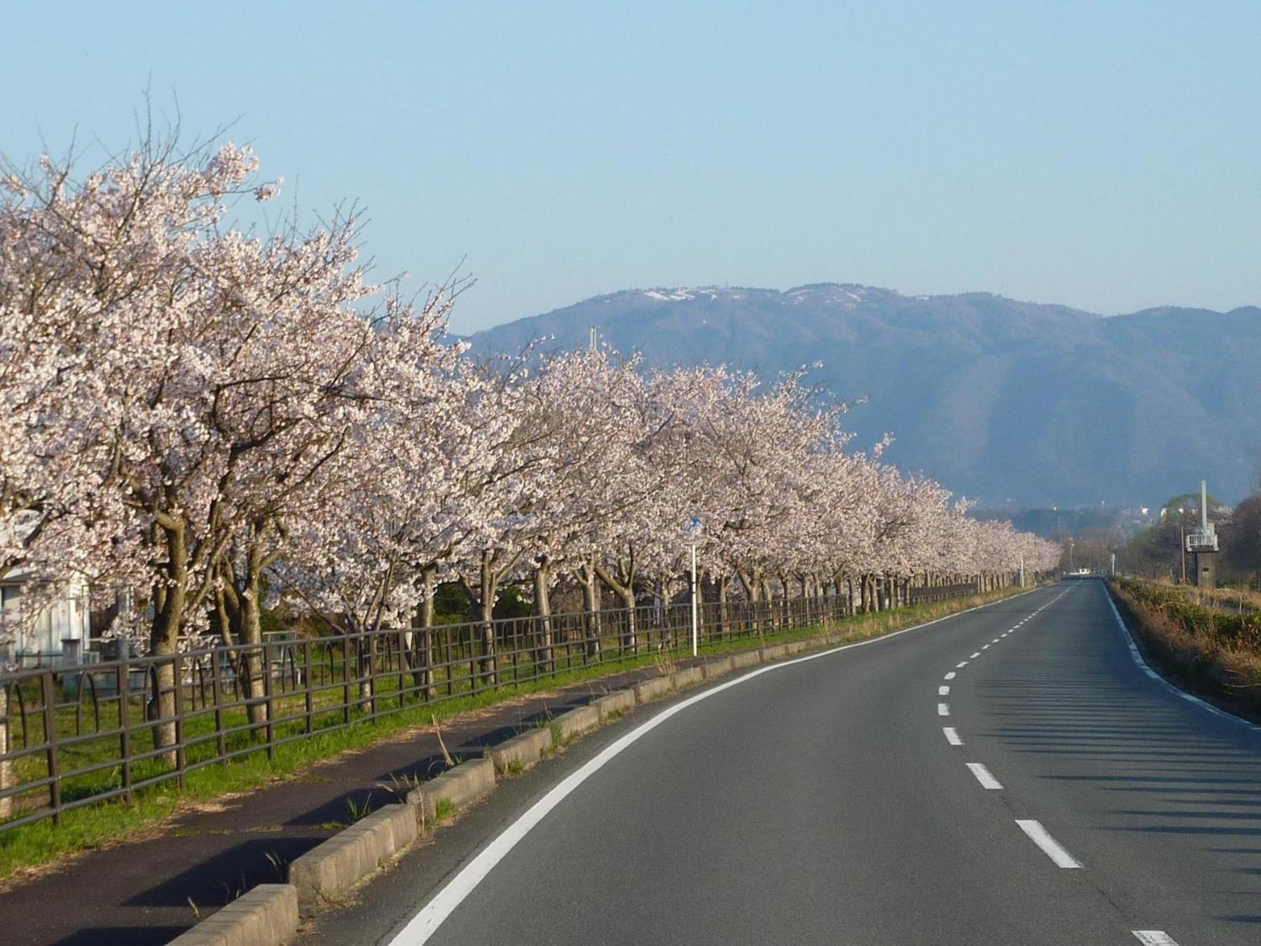 高島市風車村琵琶湖畔別荘ファミリーグループ大歓迎テラス炭火bbq New Openお得 Reiwa House Hébergement de vacances Takashima