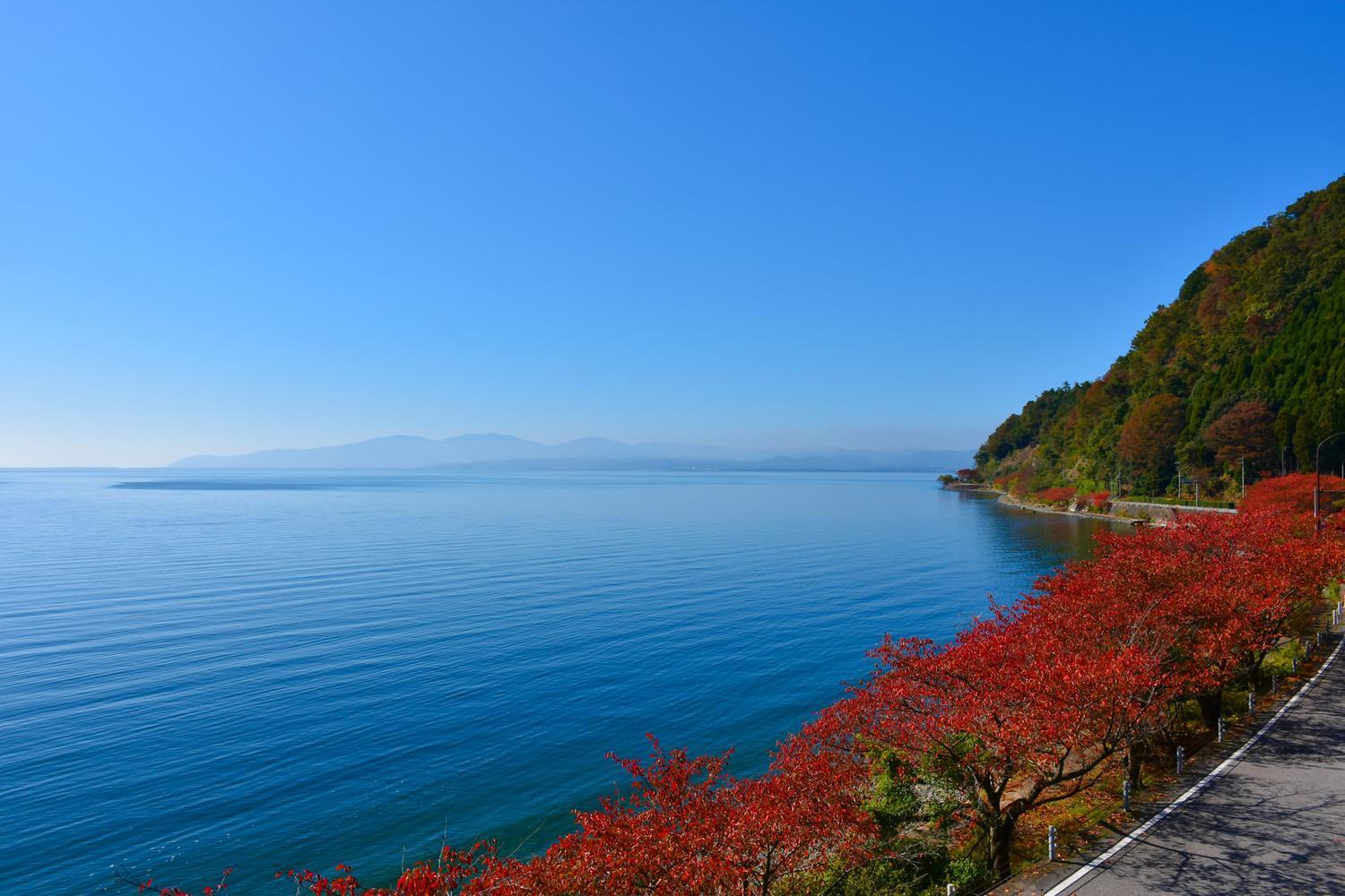 高島市風車村琵琶湖畔別荘ファミリーグループ大歓迎テラス炭火bbq New Openお得 Reiwa House Hébergement de vacances *